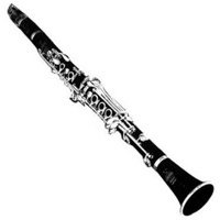 A clarinet - Mozart loved them!