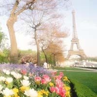 Paris in spring