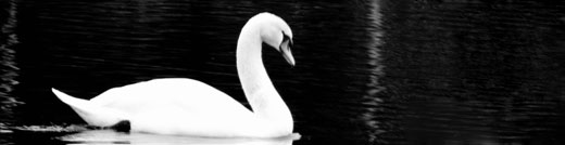 The Tchaikovsky Swan Lake ballet 